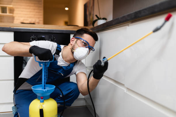 Professional Pest Control in Antwerp, OH